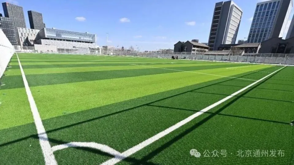 为什么<a href=