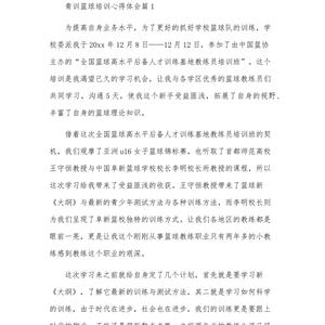  如何利用篮球传说的训练心得提升个人技术：揭秘两大方法与实践指南
